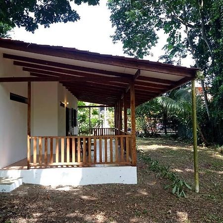 Green Papaya Villa Puerto Viejo de Talamanca Bagian luar foto