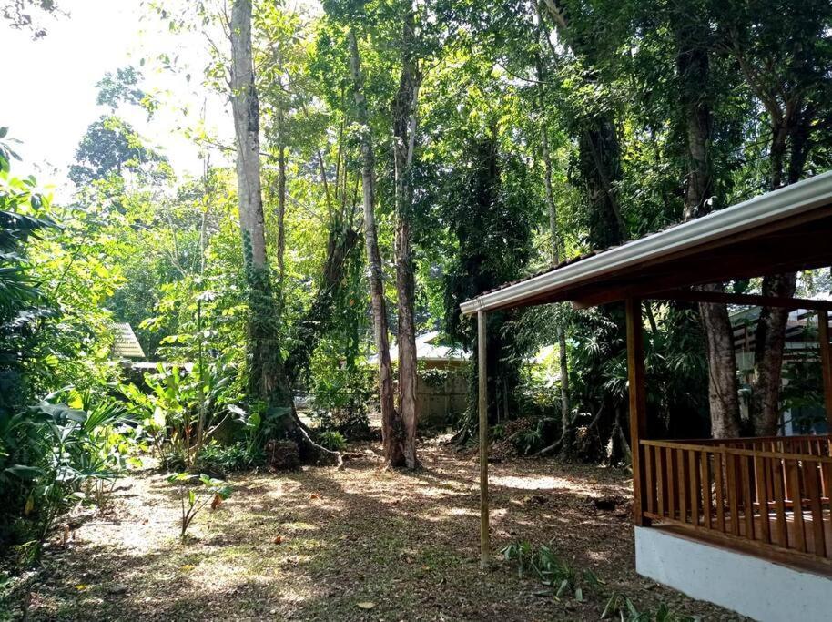 Green Papaya Villa Puerto Viejo de Talamanca Bagian luar foto