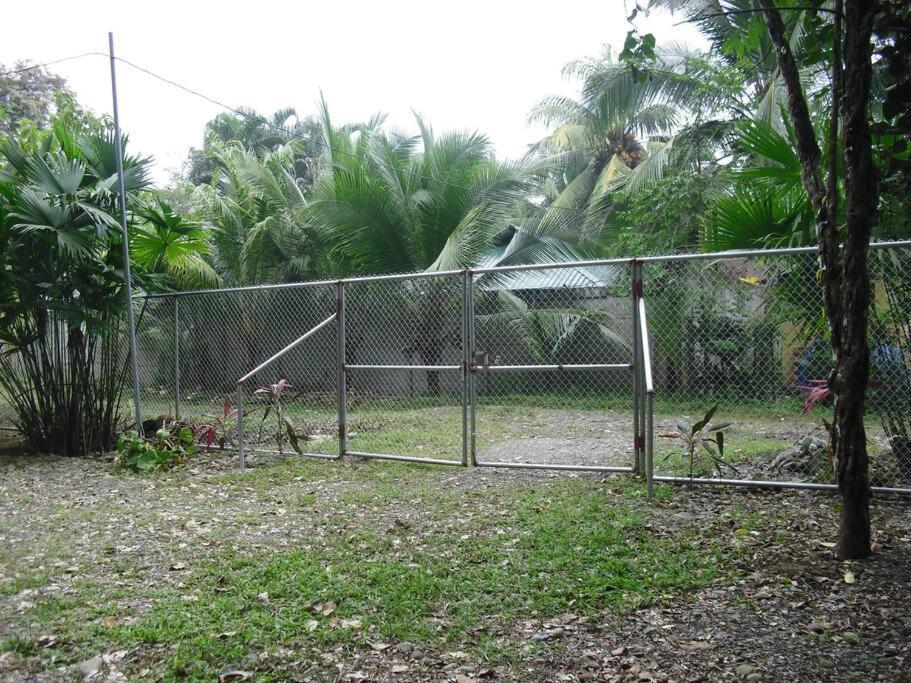Green Papaya Villa Puerto Viejo de Talamanca Bagian luar foto