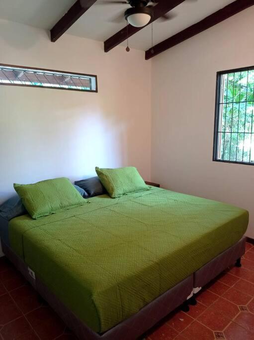 Green Papaya Villa Puerto Viejo de Talamanca Bagian luar foto